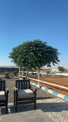 نادي منجا للفروسية