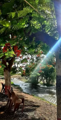 قهوة نضال اليماني