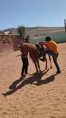 نادي ومربط العاديات