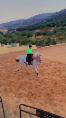 نادي ومربط العاديات