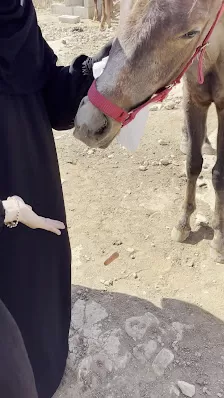Sahwa Around Jordan- صَّهْوَة حول الأردن