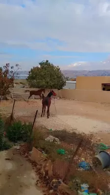 مركز النور الطبي