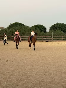 إسطبلات الجَمال للفروسية