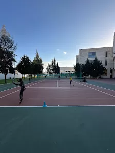 Base Tennis Jo
