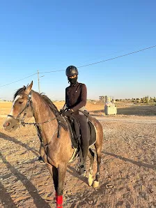 اسطبلات عمار حجازي للفروسية وركوب الخيل