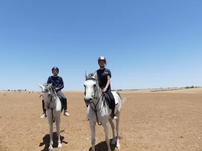 اسطبلات عمار حجازي للفروسية وركوب الخيل
