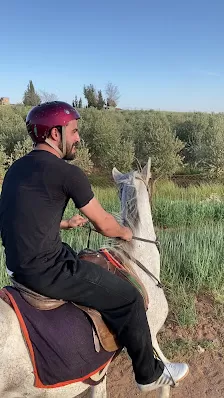 اسطبلات عمار حجازي للفروسية وركوب الخيل