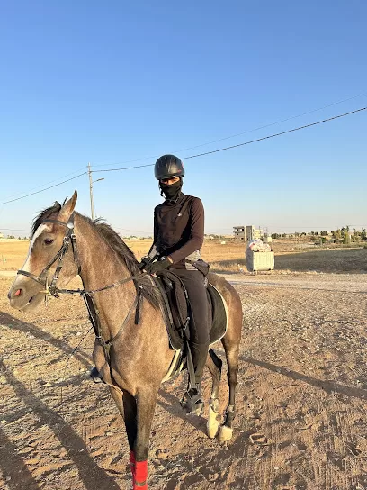 اسطبلات عمار حجازي للفروسية وركوب الخيل