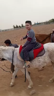 نادي الجواد الذهبي للفروسية