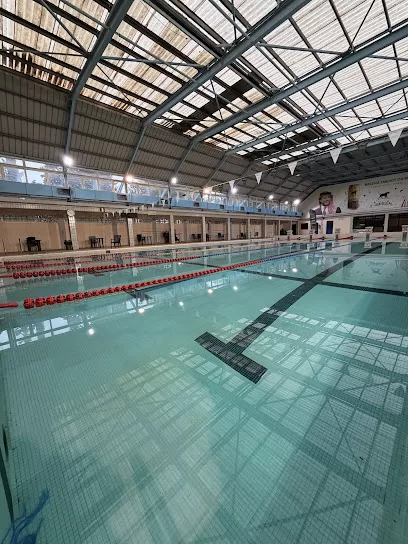Gold Swim Academy Irbid