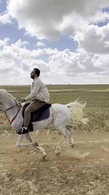 Maringo Stable (نادي و أسطبلات مارينغو للفروسيه)