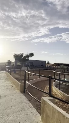 Maringo Stable (نادي و أسطبلات مارينغو للفروسيه)