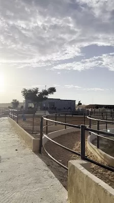 Maringo Stable (نادي و أسطبلات مارينغو للفروسيه)