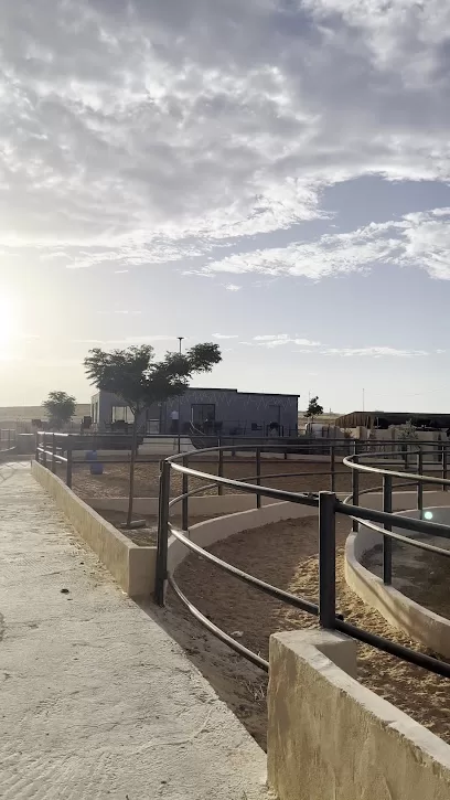 Maringo Stable (نادي و أسطبلات مارينغو للفروسيه)