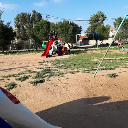 Playing Park