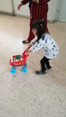 مدارس دار العلوم