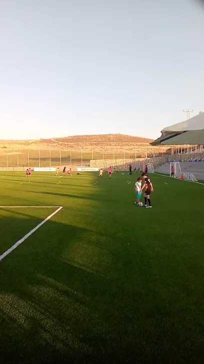 ملعب كرة قدم