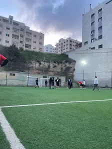 ملاعب كلية المجتمع العربي