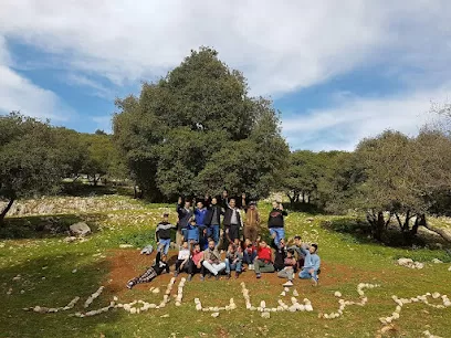مركز شباب المزار الشمالي