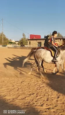 نادي الشمال للفروسية