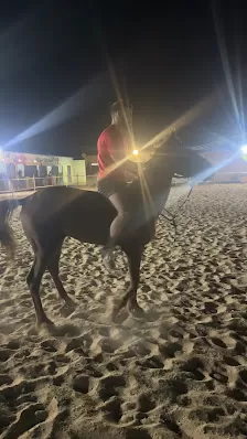 اسطبلات وكافيه ليالي القمر للفروسيه