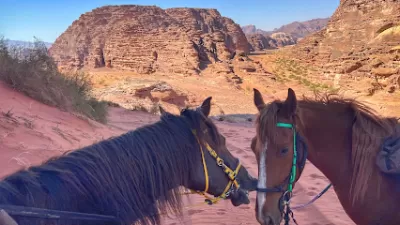 Wadi Rum Horse Adventures