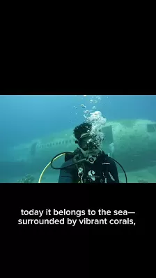 Aqaba Hammerhead Dive Center