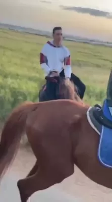 HorseJo