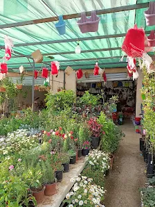 مؤسسة بصيرا للمواد الزراعيه