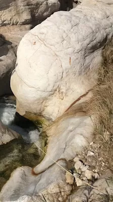 وادي الحسا