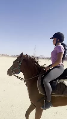 Horses Raidnig