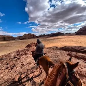 Horses Raidnig