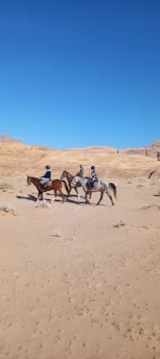 Horses Raidnig