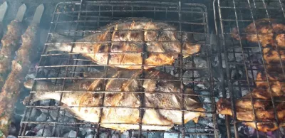 مطعم وشاورما زاكي