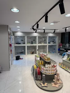 Vet Master Pet Clinic