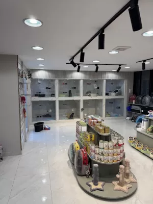 Vet Master Pet Clinic
