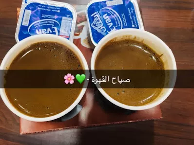 قهوة النورس ١