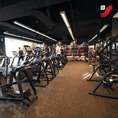 Sky Gym
