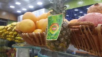 Grapefruit Jordan