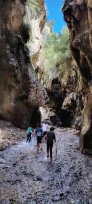 وادي بن حماد