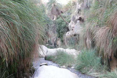 وادي بن حماد