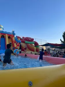 اكاديمية الانيا