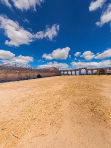ميدان الخيول