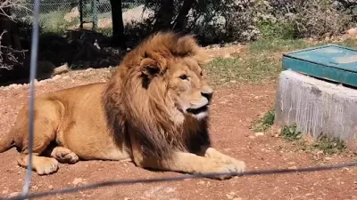 محمية المأوى للطبيعة والبرية - مركز الزوار