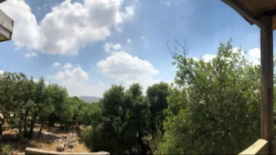 iBex Adventure Park Ajloun