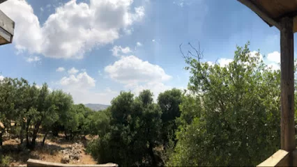 iBex Adventure Park Ajloun