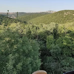 متنزه عجلون