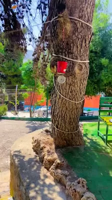 متنزه عجلون