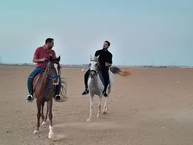 اسطبلات الجليلة
