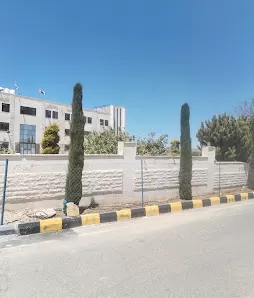 روضة ومدارس قرطاج الدولية